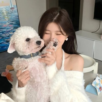 白鸥啊 不要飞起来