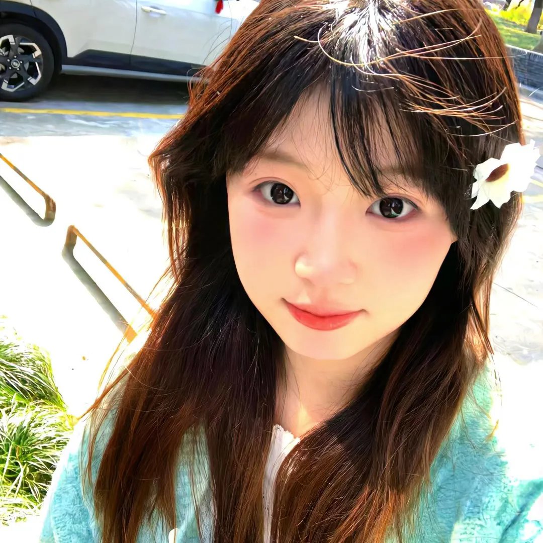 银狐